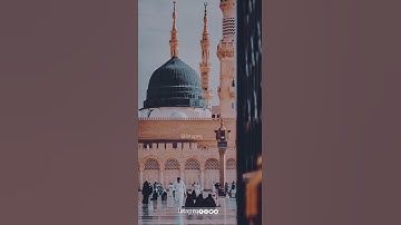 إن الله وملائكته يصلون على النبي بصوت جميل جداً - القارئ جاسم المال