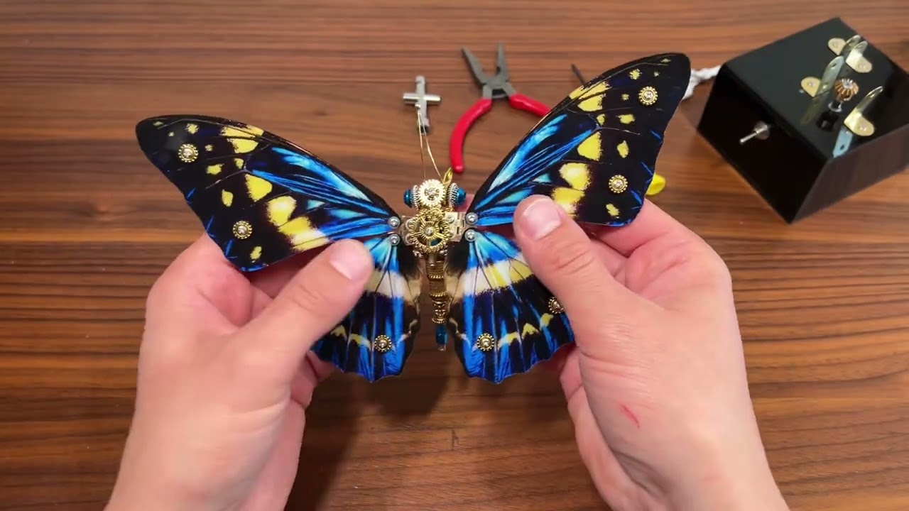 限定3000枚Butterfly『The Music of Butterfly』 BEATINK.COM / The Music of Butterfly