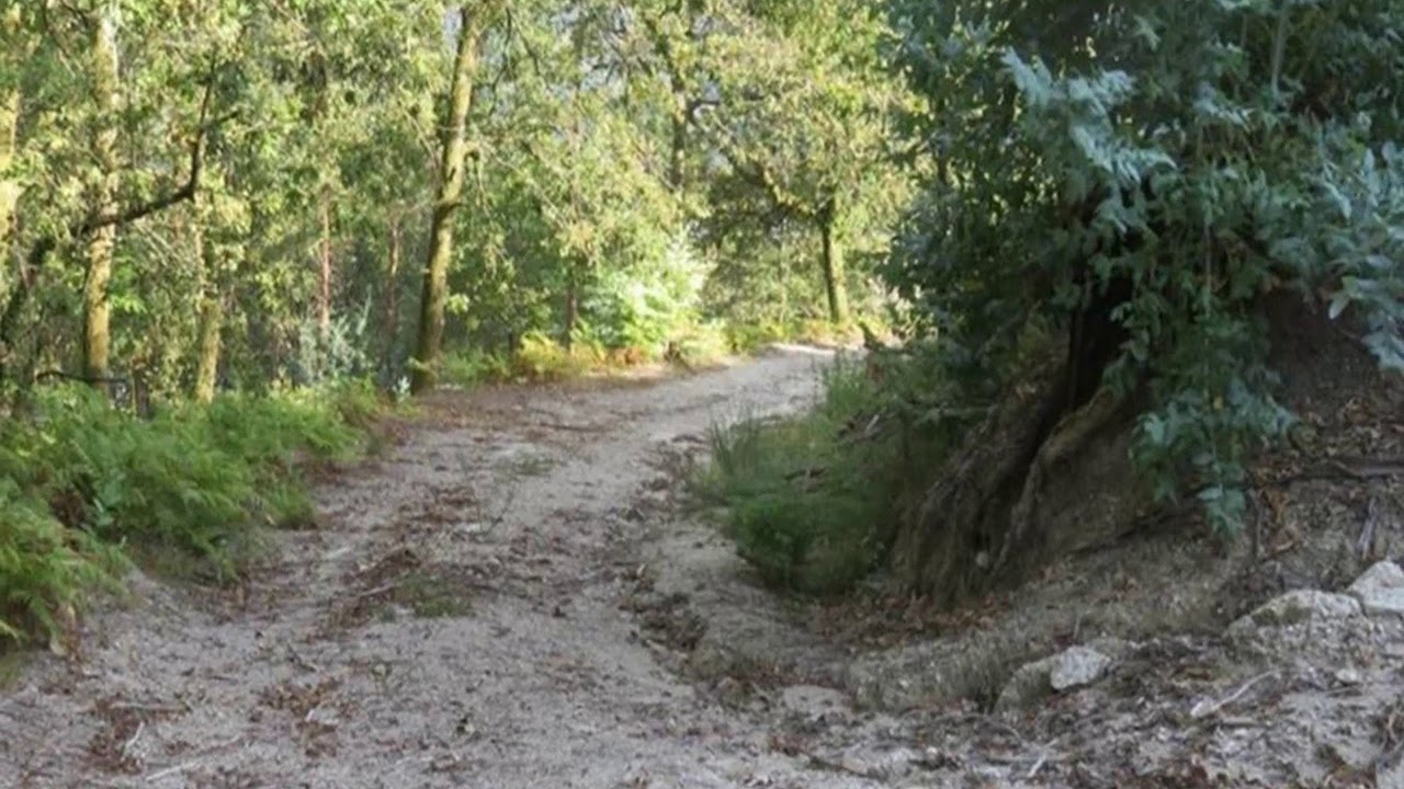 Terreno p/ Construção - Valdosende
