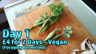 Limited Budget Challenge: 2 days, £4, Ambient Vegan, with Foraging  Day 1