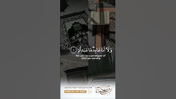 { قل يا أيها الكافرون الخ  } سورة الكافرون