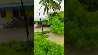 heavy rain in nellai chettikulam Thoothukudi #rain #heavyrain #flood @myownchannel4a.9