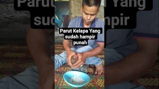 Download Lagu Traditional Methods That Are Starting to Die Out #shortvideo #shortvideo #shortviral #entertainme... MP3