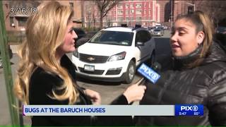 Mom battles infestation of bugs in NYCHA apartment; roach falls into baby`s crib