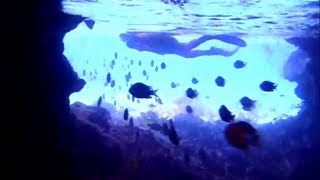 11 A Day in the Life- Cruising Albin Vega Velocir 2-17-12