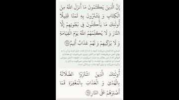 سوره بقره آیات ۱۷۳و۱۷۴با معنی گویا گوارای وجودتان #قرآن #قران_كريم #قران #قرآن_كريم #youtube