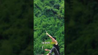 The Way He’s Catching and Picking Clams in the morning ! #shorts #trending #food