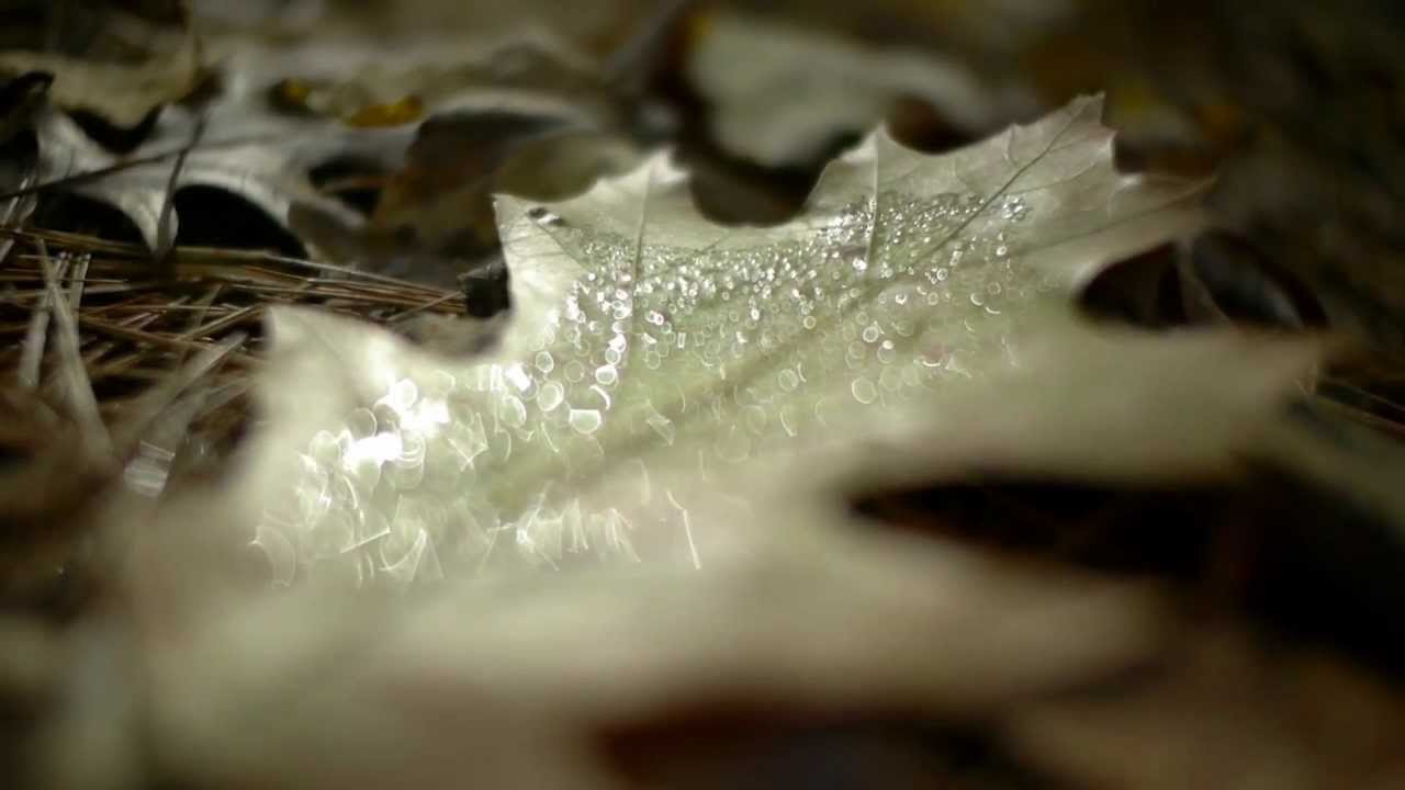Tim Hecker - October, Part 1