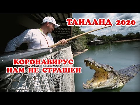 Отпуск в Тайланде - отель Ambassador City. Коронавирус
