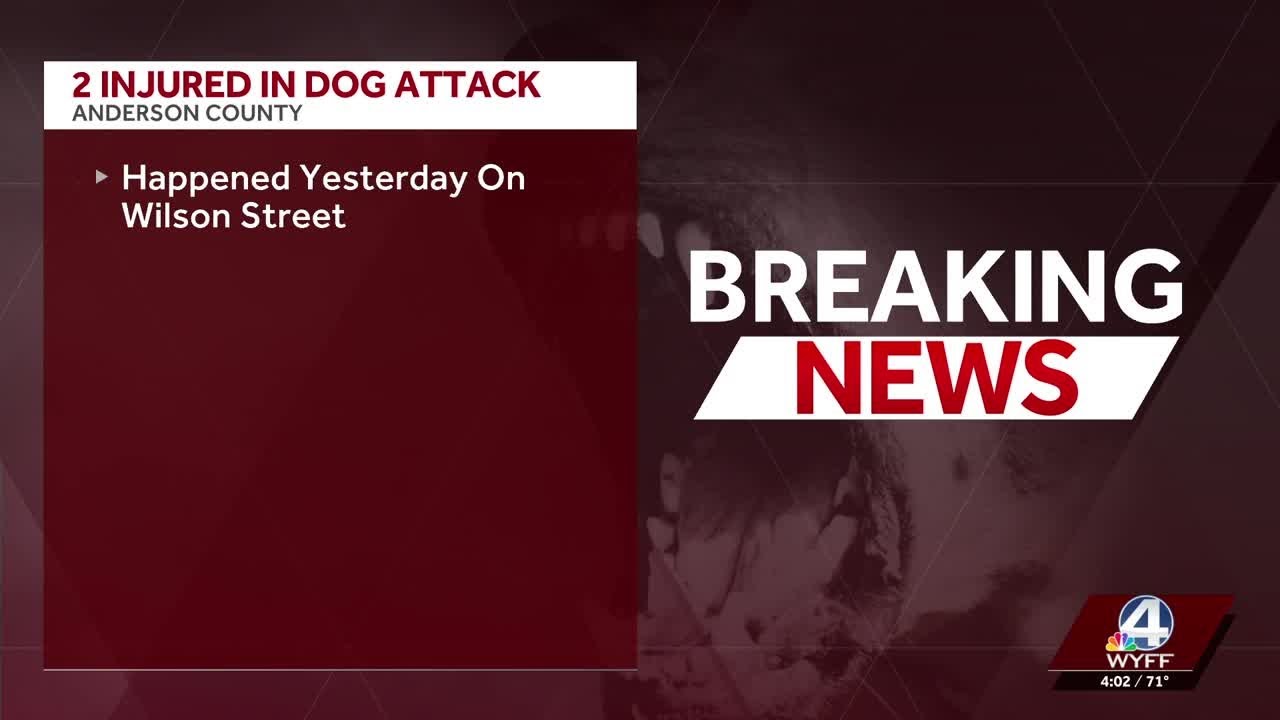 Police: Infant dies after dog attack in Anderson - YouTube
