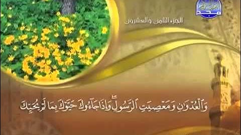ماهر المعيقلي سورة المجادلة مكتوبة