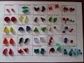 25 forme principale in quilling