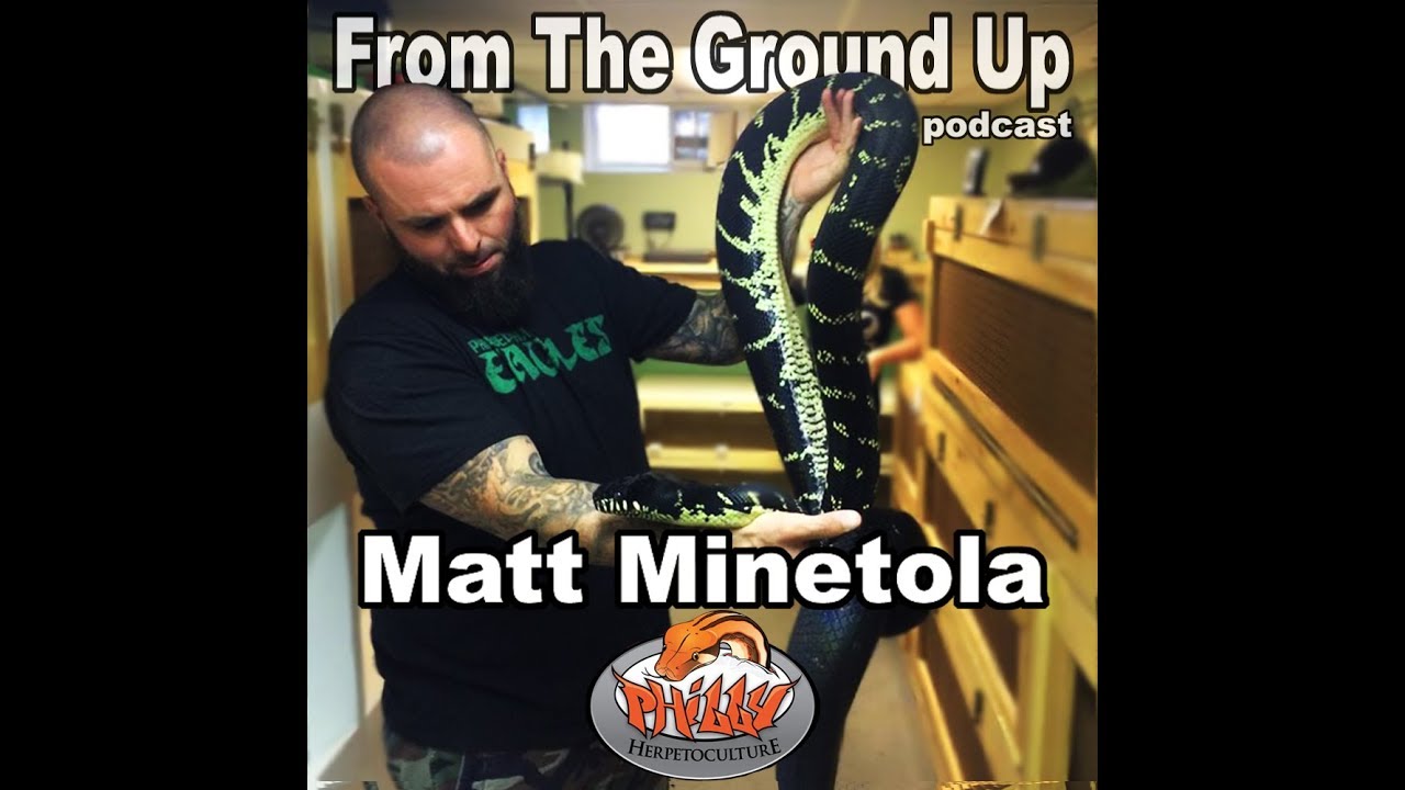 hangouts on air august 1 Matt Minetola of Philly Herpetoculture - From The Ground Up (Reptile Podcast)