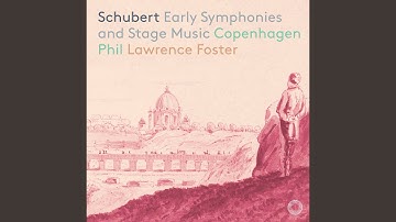 Symphony No. 2 in B-Flat Major, D. 125: II. Andante