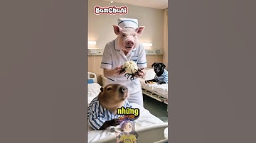 Con Heo Độc Ác Ăn Hiếp Con Chuột Tội Nghiệp 🥹