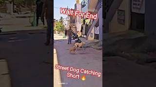 Easily Running Dog Catch #dog​ #shorts​ #ytviral​ #streetdogrescue​ #abc​ #ytshortsindia​