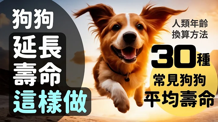 《超越寿命：狗狗的岁月》 延长狗狗寿命的方法  |  常见30种狗狗平均寿命  |  狗狗的人类年龄换算 - 天天要闻