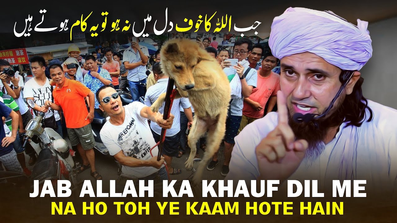 Jab ALLAH Ka Khauf Dil Me Na Ho Toh Ye Kaam Hote Hain | Mufti Tariq Masood