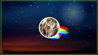 Dj Qhelfin Happy Ajalah tiktok