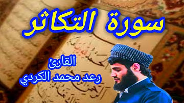 سورة التكاثر - القارئ رعد محمد الكردي