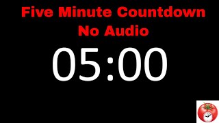 Classic Countdown Timer - 5 Minute Countdown - No Audio - Silent