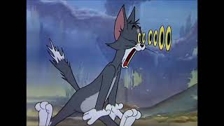 Tom and Jerry, 43 Episode - The Cat and the Mermouse (1949)