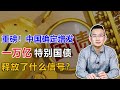 一万亿特别国债，重点真的不是“一万亿”【汤山老王】