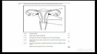 Human reproduction Exam questions ||Grade 12Life sciences