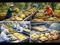 Inside the Durian Processing Line: How Fresh Fruit Becomes Sweet Desserts