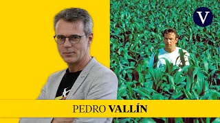 “If you build it, it will come” I Pedro Vallín