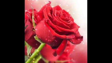 اعذب تلاوة لسورة الفاتحة بصوت الشيخ ماهر المعقلي ** سبحان الله وبحمده سبحان الله العظيم **