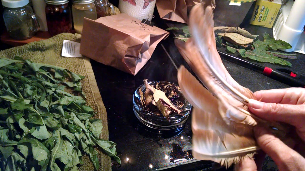 Inhaling smoke from mullein and wild lettuce