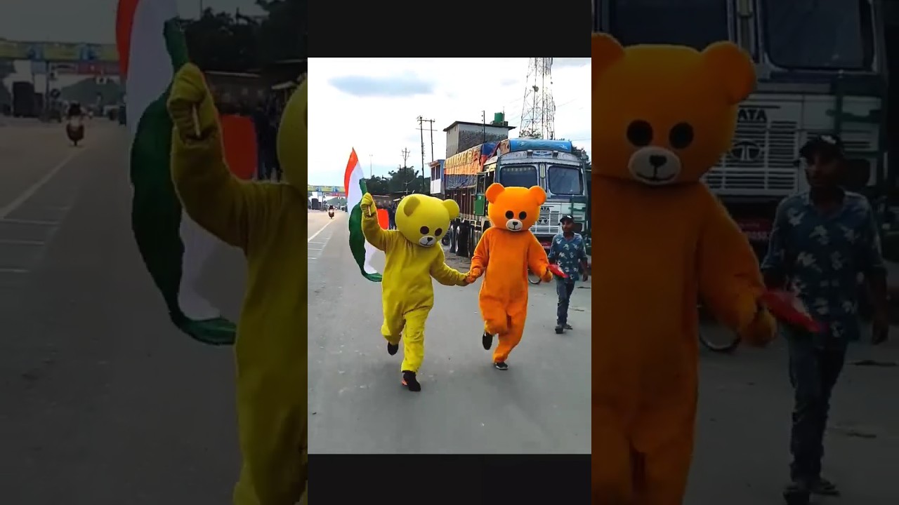 Maa Tujhe Salam #shorts #15august #teddy #15auguststatus #independence #raipurteddy #crazyteddy