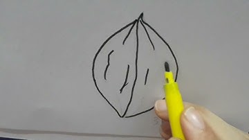 HOW TO DRAW WALNUT | SIMPLE  AND EASY DRAWING STEP BY STEP FOR KIDS