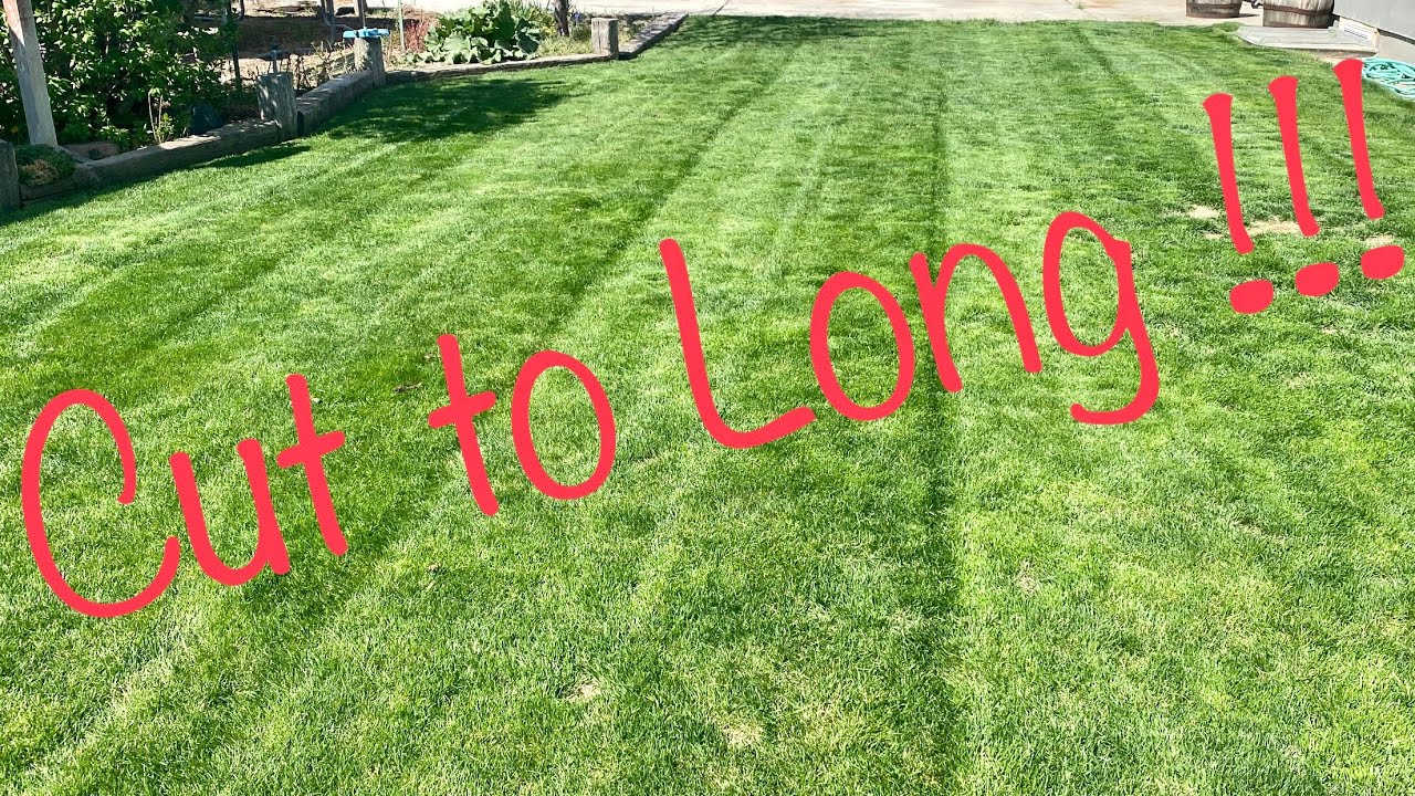 Toro Timemaster actual mowing heights measured!!! - YouTube