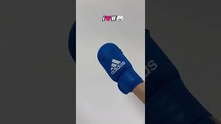 Karate Champions Love