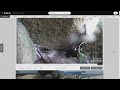 Egg in Seal Island hatches, new puffling is born