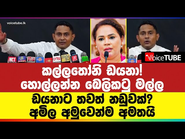 කල්ලතෝනි ඩයනා! හොල්ලන්න බෙලිකටු මල්ල class=