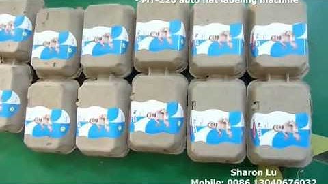 MT 220 automatic adhesive egg box 1 label 3 sides labeling machine
