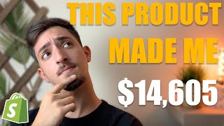 How I Made $14,605 my FIRST Month DROPSHIPPING