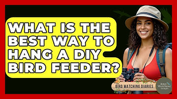 What Is The Best Way To Hang A DIY Bird Feeder? - Bird Watching Diaries