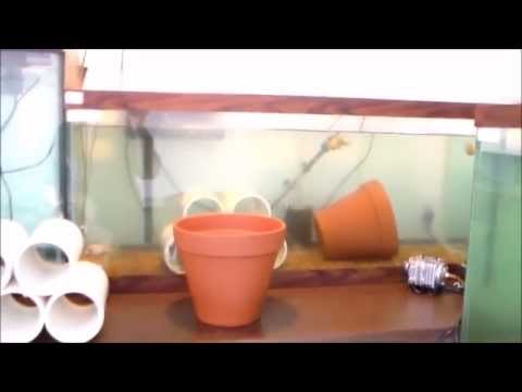 Garden State Tilapia - How To Build a Breeding Tank for Tilapia Part 1