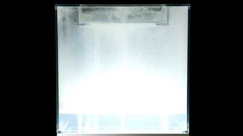 Touch the Invisibles- Spanish