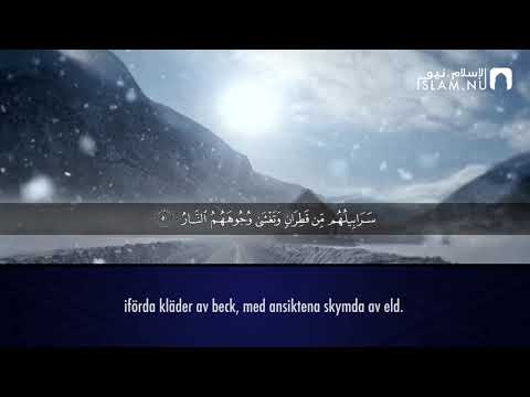 Surah Ibrahim (42-52) - Raad Muhammad Al-Kurdi