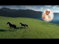 الخيل معقود في نواصيها الخير الدكتور مبروك زيد الخير الخيل معقود في نواصيها الخير الدكتور مبروك زيد الخير