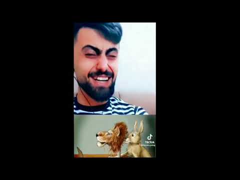 تناحكو سكت دهرا و نطق كفرا