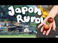 VIVIR en el CAMPO JAPONES: entre HERMOSO Y DIFICIL