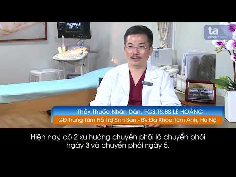 Video NÊN CHUYỂN PHÔI NGÀY 3 HAY NGÀY 5? - youtube