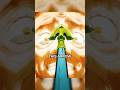 What Happened to the Stand Arrows? #jjba #jojosbizarreadventure #anime