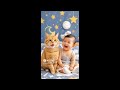 Orayes Ha | Niềm vui có thật khi ta ngừng so sánh và bắt đầu sống trọn từng phút